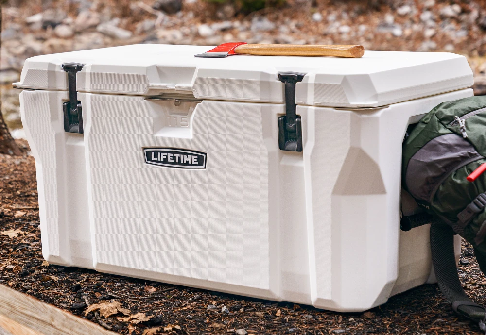 plastic picnic ice cooler box