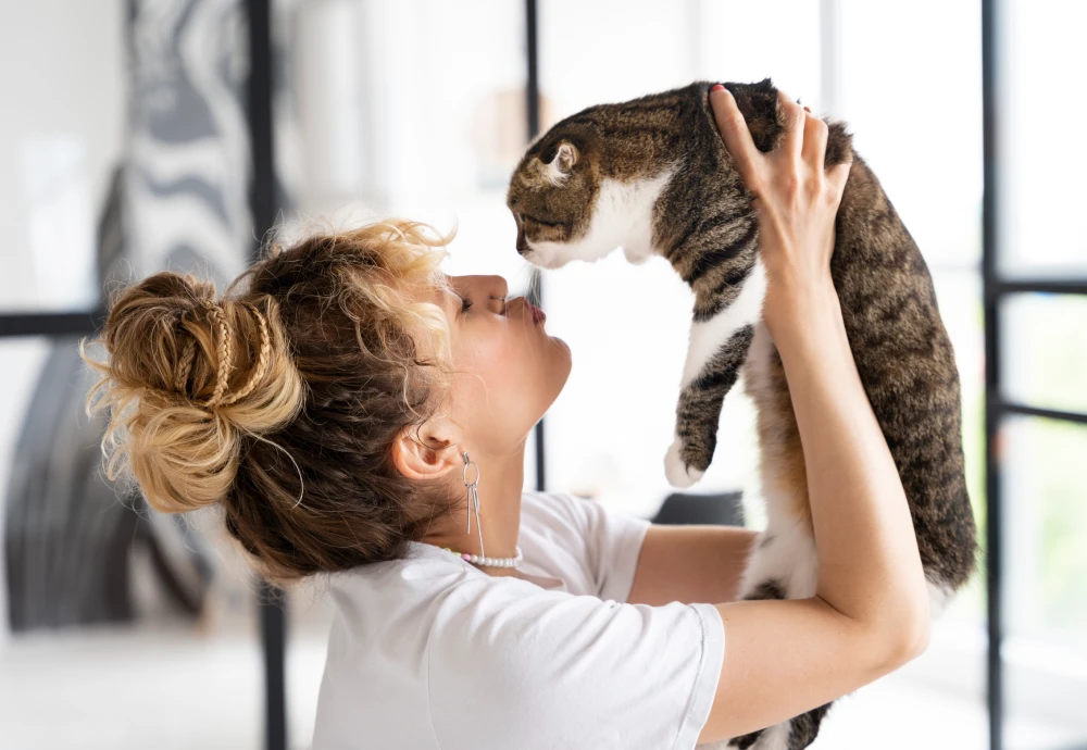 camera to see pets at home