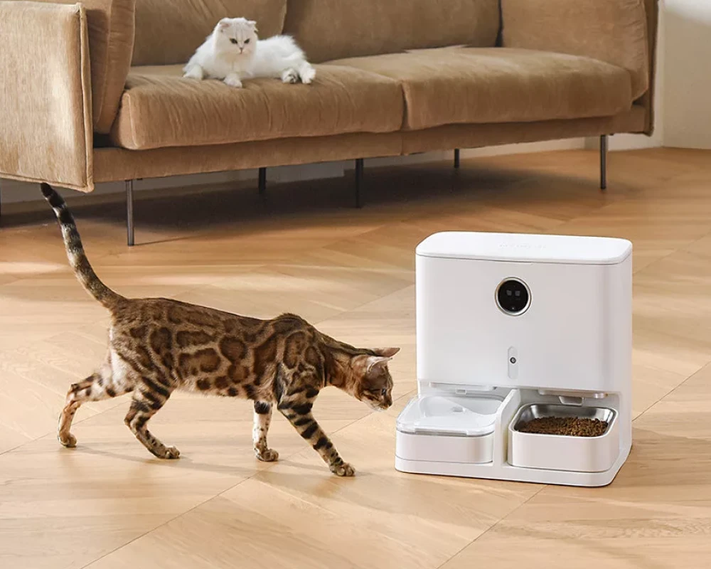 pet smart automatic pet feeder