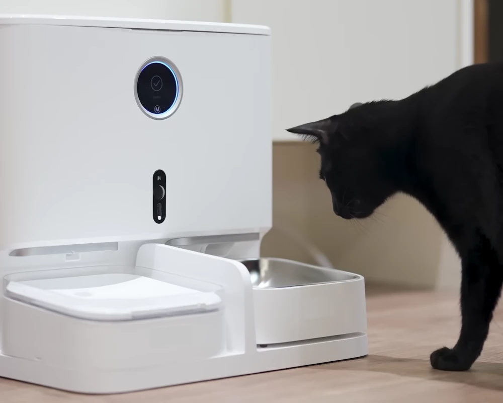 best cat feeder with camera